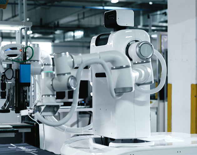 Implementation in a Leading Small Appliance Factory